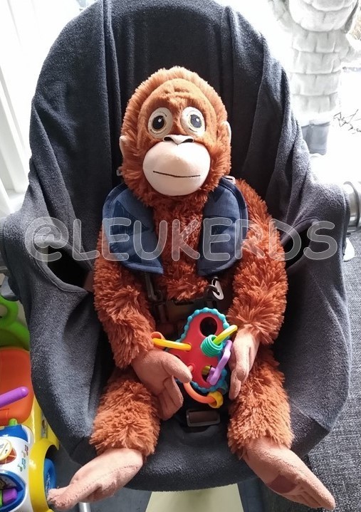 gallery/in de kinderstoel