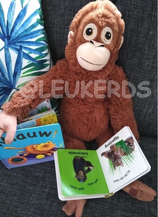 gallery/boekje lezen