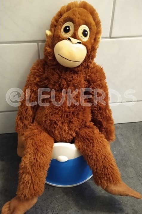 gallery/op het potje