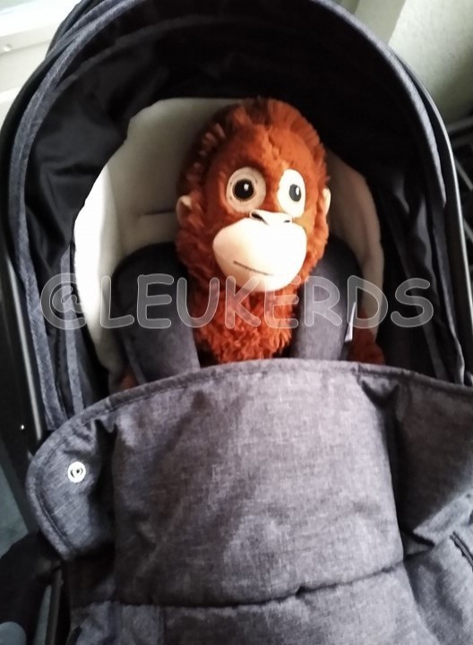 gallery/in de wandelwagen