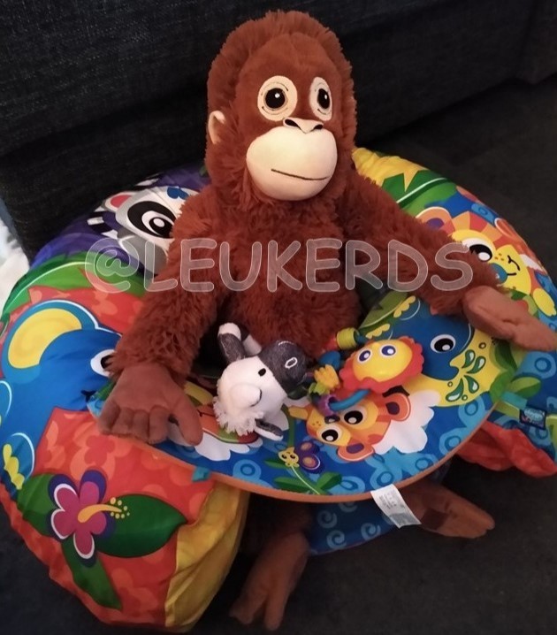 gallery/in de zitsteun