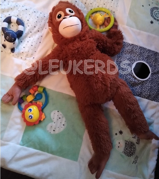 gallery/op het speelkleed